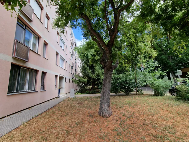 Eladó lakás Budapest XVIII. kerület, Lakatostelep, Építő 43 nm