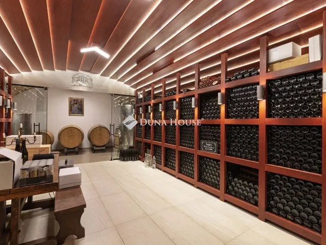 Kiadó kereskedelmi és ipari ingatlan Budapest III. kerület, Óbuda 1119 nm