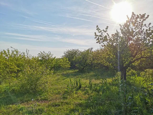 Eladó mezőgazdasági ingatlan Törökbálint 20000 nm