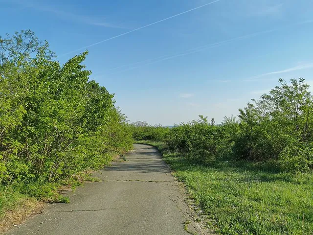 Eladó mezőgazdasági ingatlan Törökbálint 20000 nm