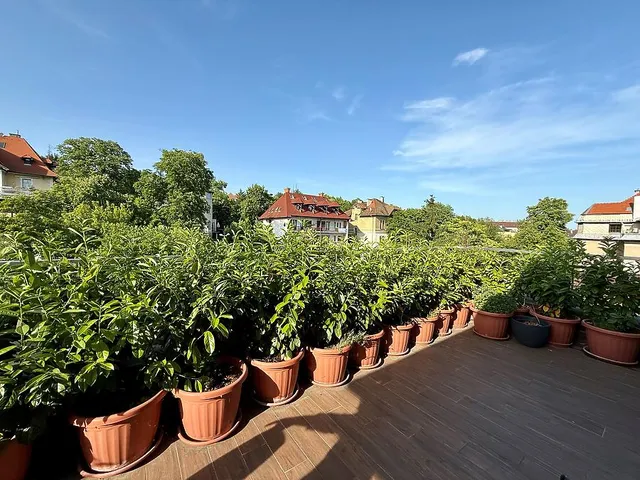 Eladó lakás Budapest II. kerület, Rózsadomb 111 nm