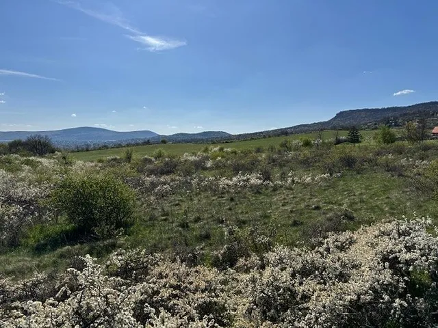 Eladó telek Szentendre 3456 nm