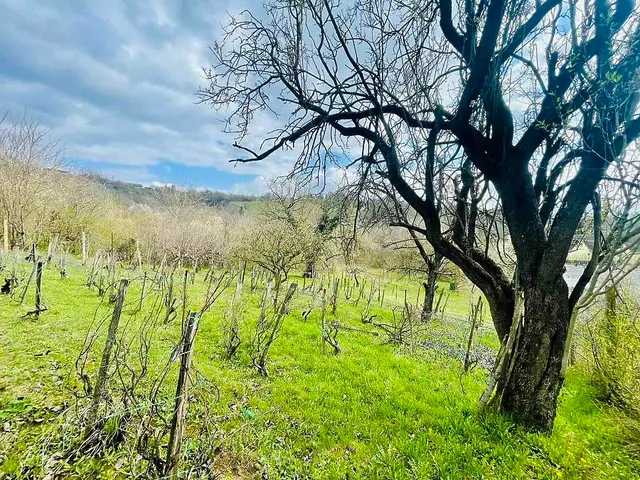Eladó telek Vác 1632 nm