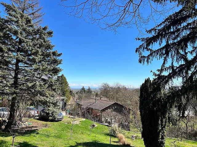 Eladó telek Szentendre 778 nm