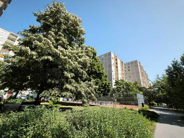 Eladó lakás Budapest IV. kerület, Újpest 34 nm