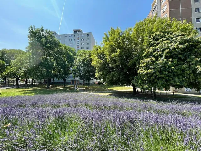 Eladó lakás Budapest IV. kerület, Újpest 54 nm