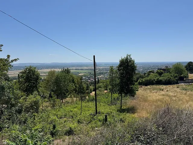 Eladó ház Pomáz 25 nm