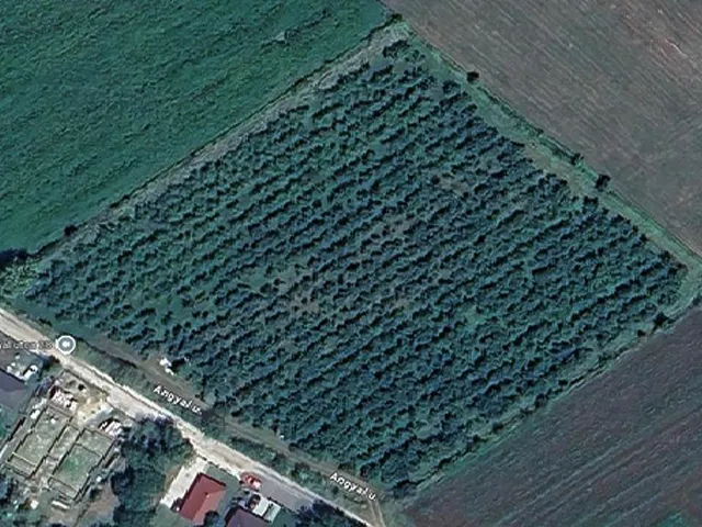 Kiadó kereskedelmi és ipari ingatlan Vác 13000 nm