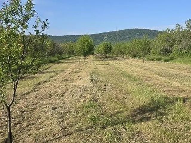 Eladó telek Pomáz 3876 nm