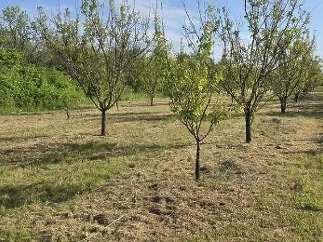 Eladó telek Pomáz 3876 nm