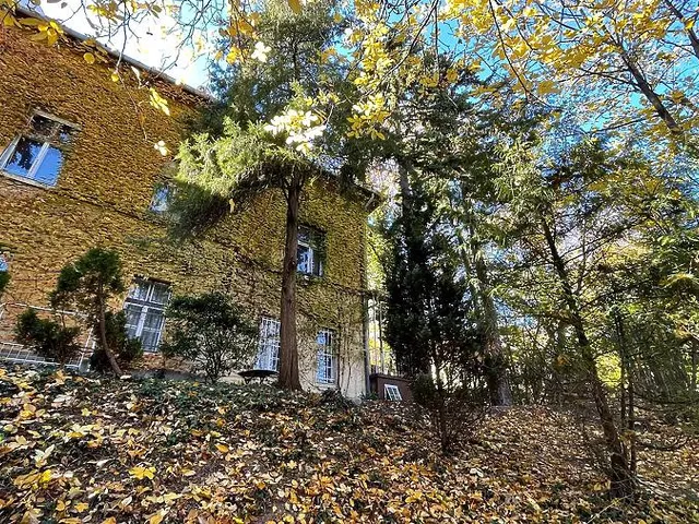 Eladó lakás Budapest XII. kerület, Istenhegy 74 nm