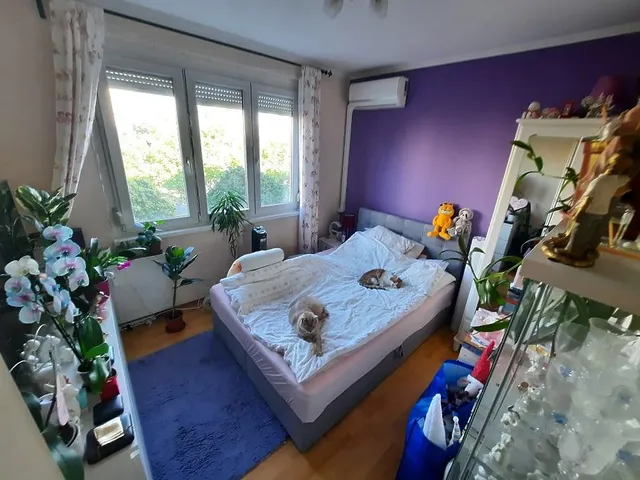 Eladó lakás Budapest XV. kerület, Újpalota 53 nm