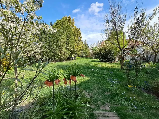 Eladó ház Budapest XV. kerület, Rákospalota 120 nm