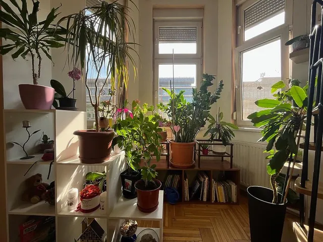 Eladó lakás Budapest IX. kerület, Soroksári út 69 nm