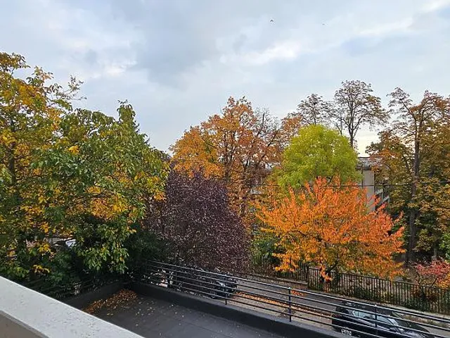 Kiadó lakás Budapest II. kerület, Rózsadomb 60 nm
