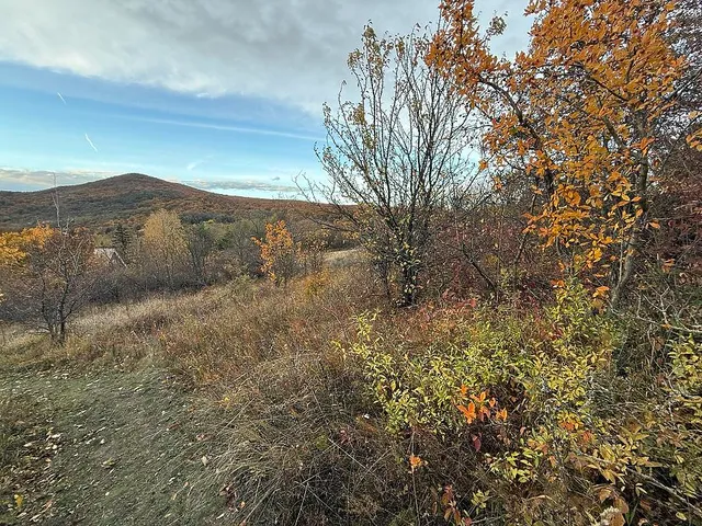 Eladó telek Pomáz 820 nm
