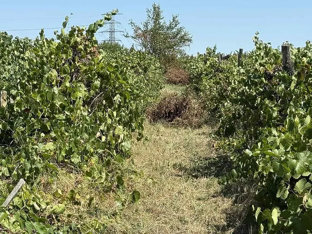 Eladó telek Dunakeszi 3335 nm