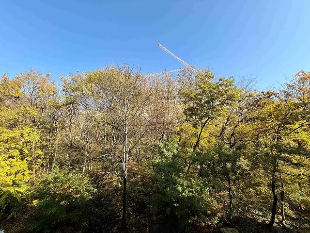 Eladó lakás Budapest I. kerület 54 nm