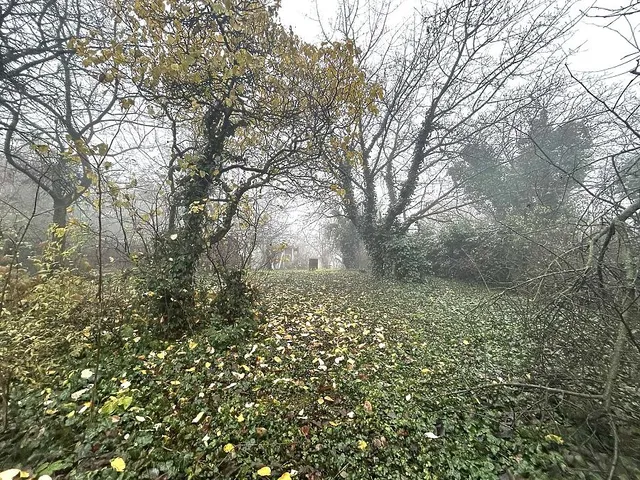 Eladó telek Mogyoród 1462 nm