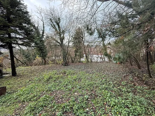 Eladó telek Szentendre 585 nm