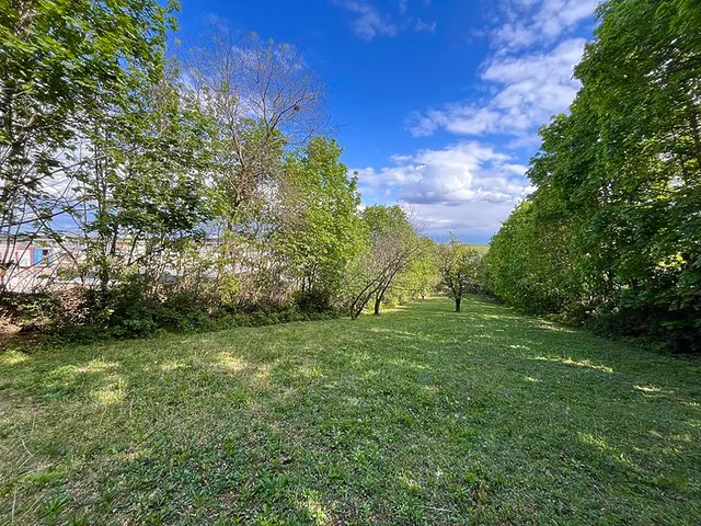 Eladó telek Budapest III. kerület, Csillaghegy 3600 nm