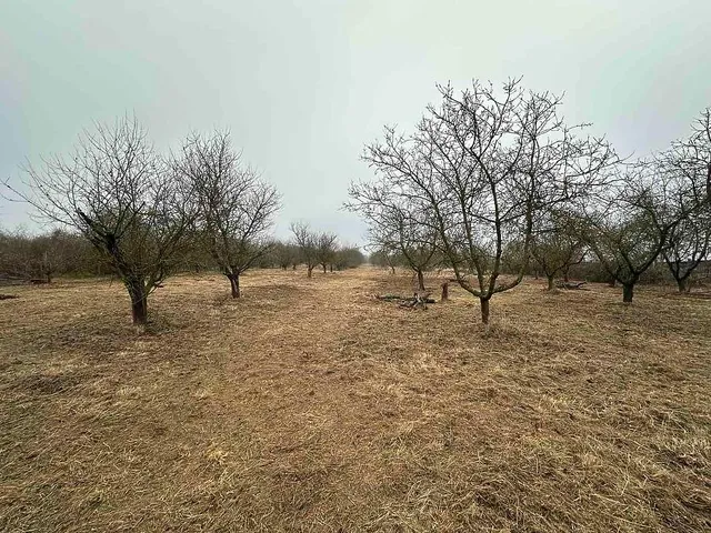 Eladó telek Vác 10139 nm