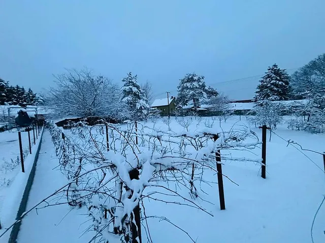 Eladó telek Fót 999 nm