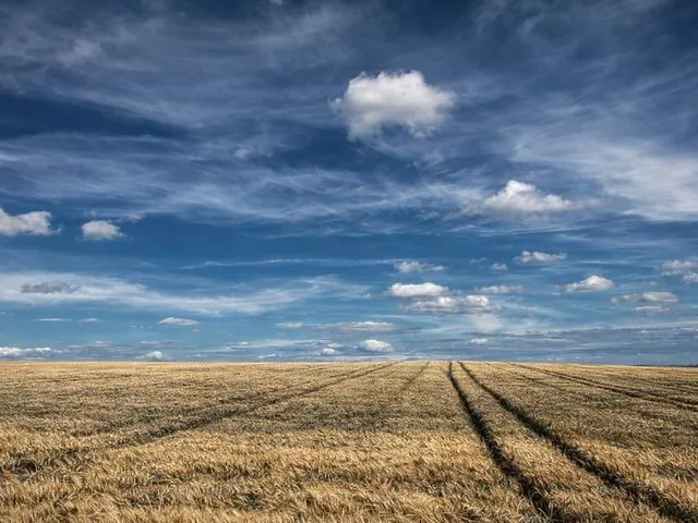 Eladó telek Fót 800 nm
