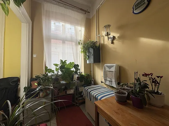 Eladó lakás Budapest VII. kerület 42 nm