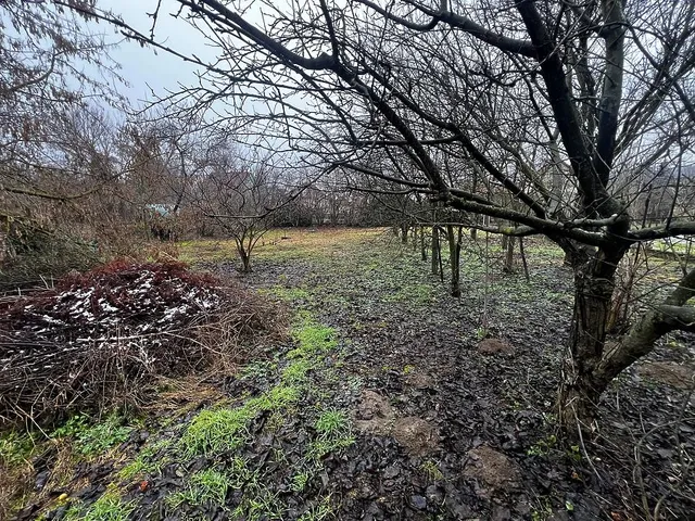 Eladó ház Gödöllő 75 nm