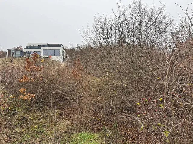 Eladó telek Pomáz 1248 nm