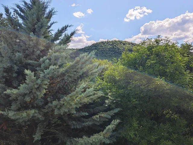 Eladó lakás Budapest II. kerület, Hárshegy, Hárshegyi út 89 nm