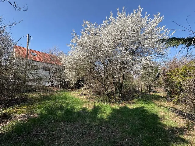 Eladó telek Budakalász 726 nm