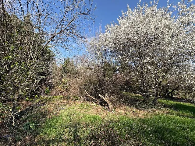 Eladó telek Budakalász 726 nm