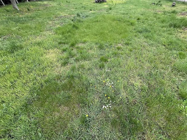 Eladó telek Budapest XVII. kerület, Rákoscsaba-Újtelep 1112 nm