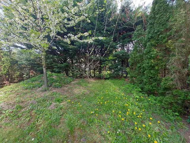 Eladó ház Göd 190 nm