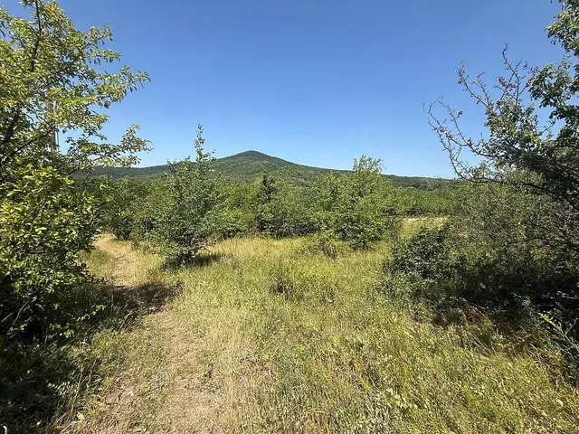 Eladó telek Pomáz 995 nm