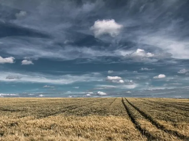 Eladó telek Fót 800 nm