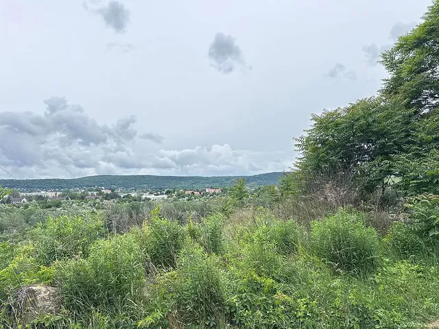 Eladó telek Solymár 1920 nm
