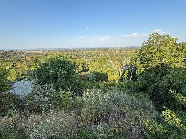 Eladó telek Szentendre 500 nm