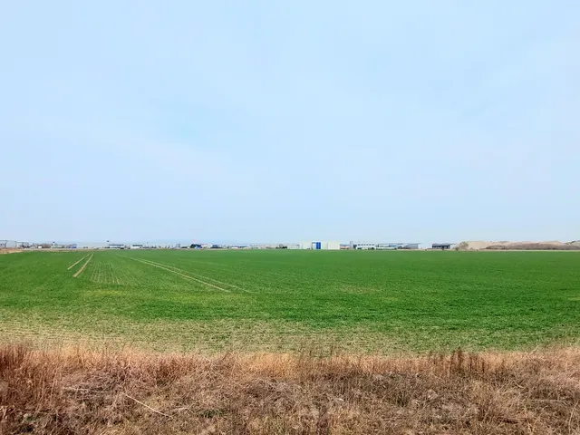 Eladó telek Szigetszentmiklós, Leshegy Ipari Park 98554 nm