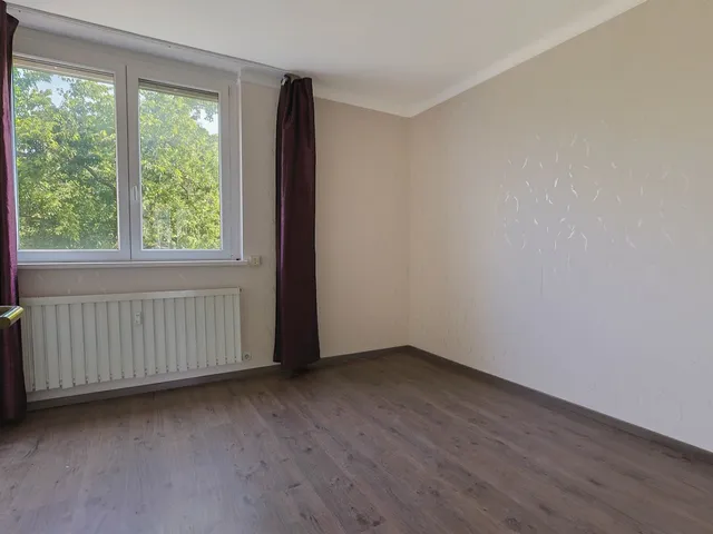Eladó lakás Budapest XVIII. kerület, Lakatostelep 55 nm