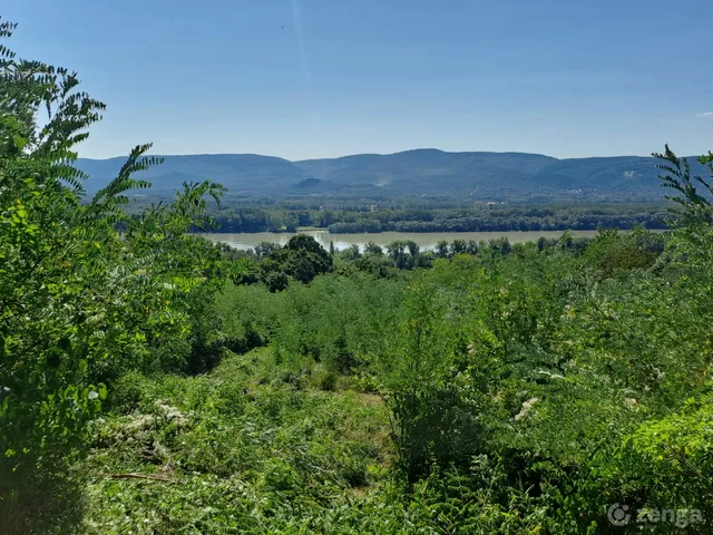 Eladó telek Verőce, Fehérhegyi dűlő 2997 nm