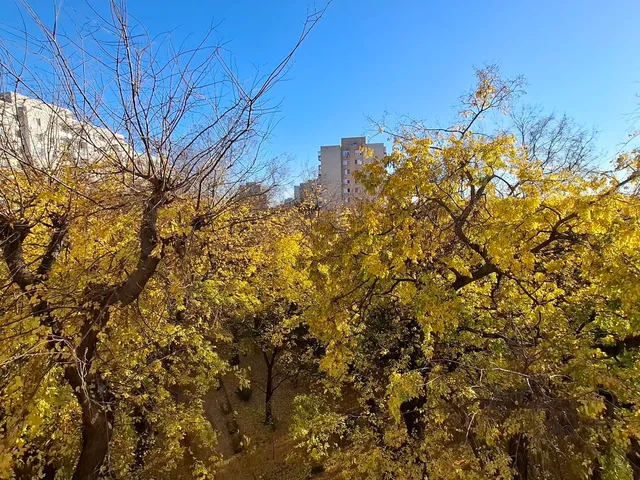 Kiadó lakás Debrecen 76 nm