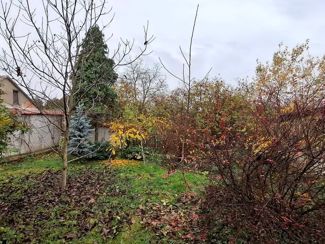 Eladó ház Sárospatak 125 nm