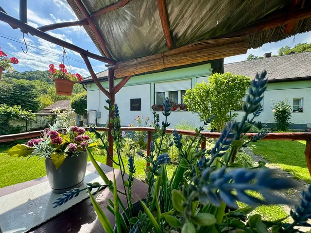 Eladó ház Sály 90 nm