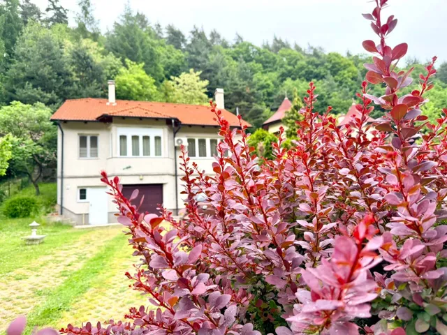 Kiadó ház Miskolc 120 nm
