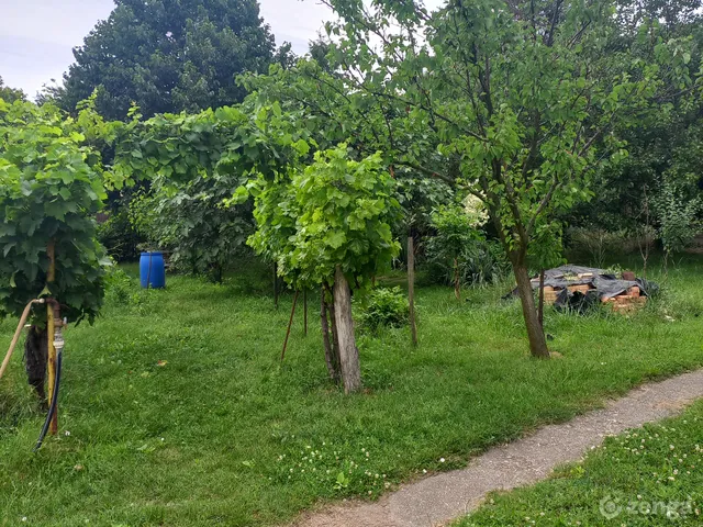 Eladó telek Telki, Erdő sor 17/3 1778 nm
