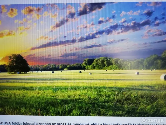 Eladó mezőgazdasági ingatlan Sükösd 65000 nm