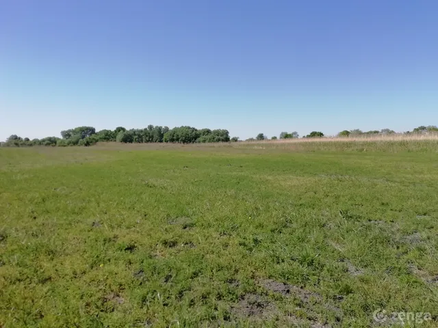 Eladó mezőgazdasági ingatlan Sükösd 18000 nm